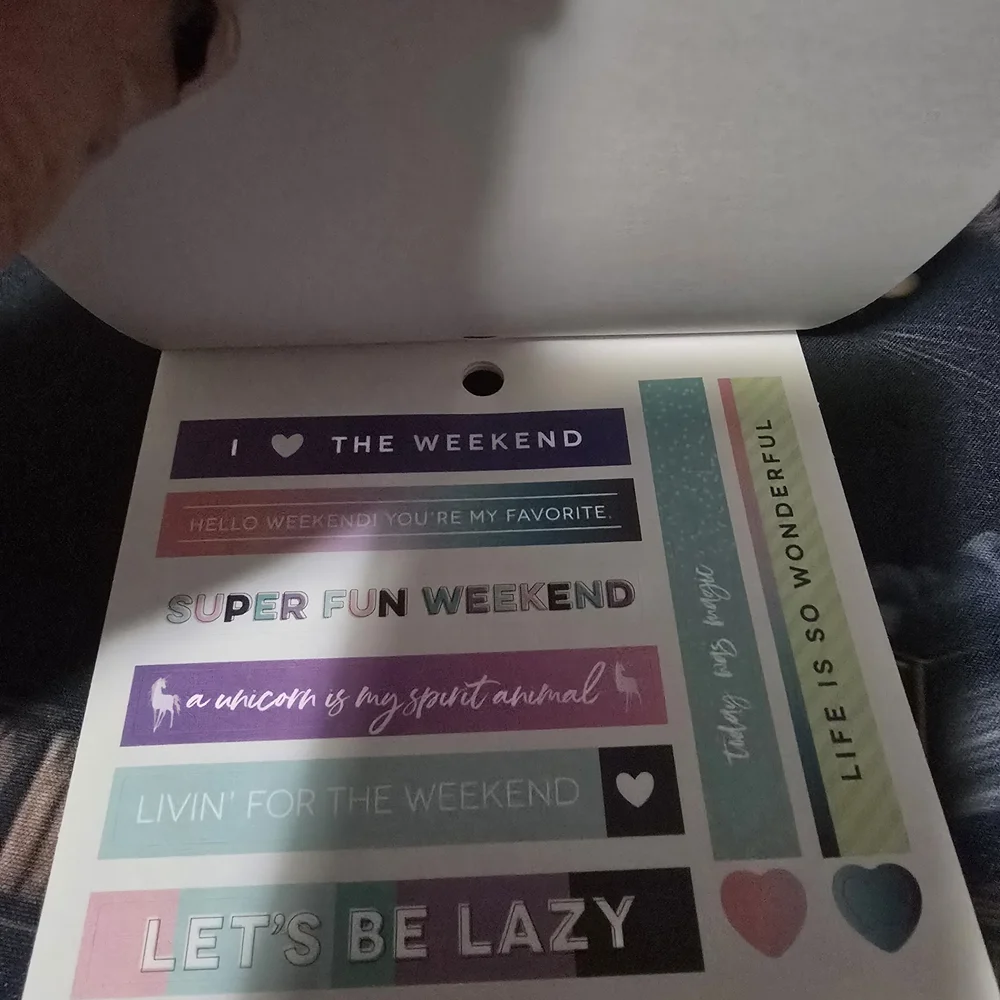 Colorful Planner Stickers Set - Finance/Budget